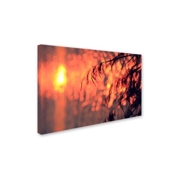 Beata Czyzowska Young 'Sunset Wishes' Canvas Art,16x24